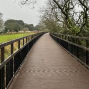 Courtlands Boardwalk on the Exe Estuary trail