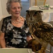 Visit by birds of prey to Homestead care home