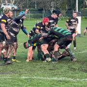 Torquay v Withycombe