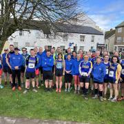 Harriers at the Grizzly / Cub