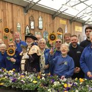 Exmouth in Bloom launch 2024 sunflower competition at Kings Garden Centre