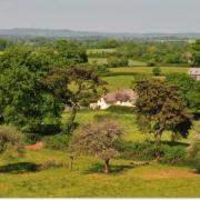 Clyst Valley Regional Park, which could be set to expand under new plans.