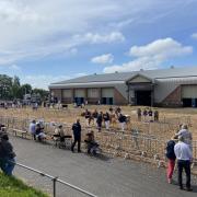 Day two of the Devon County Show.