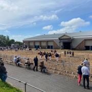 Cornish Mutual Livestock arena.