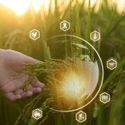 Agritech, stock image.