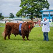 From the South West to Scotland, NatWest Group is doing all that it can to make British Farming a Winner.