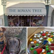 The Rowan Tree, Budleigh Salterton, Just Purrfect Dog Walking, Grooming and Pet Sitting, and a creation by Truly Scrumptious Chocolate  Workshops