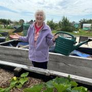 Raleigh Manor resident, Liz enjoying the Sow and Grow facility