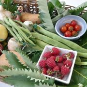 Budleigh Salterton's 2024 Flower and Produce Show.