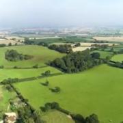 Yonder Oak Wood, Exmouth.