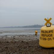 Refuge Buoys on the Exe Estuary between Exmouth and Dawlish.