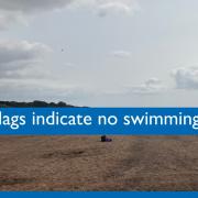 Red flags were flown at Budleigh Salterton and Exmouth last weekend.