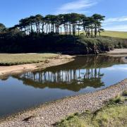 Budleigh Salterton.