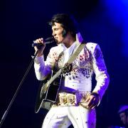 The stroke survivors club is set to host a Elvis tribute act.