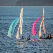 Sails at Sunset  Race On