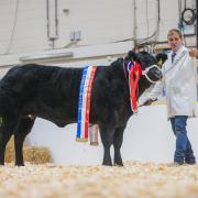 A previous Agrifest winner.