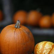 Anthony Bernard: Halloween, elections and November chill