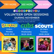 The group is inviting people to try volunteering with Beavers, Cubs, or Scouts throughout this month