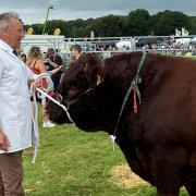 A farmer at Okehampton Show.