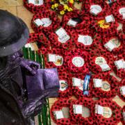 Poppies to Paddington in time for Armistice Day on Monday (November 11).