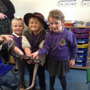 The school welcomed various exotic animals