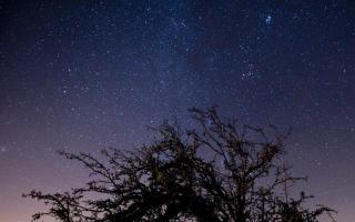 The Draconid meteor shower is set to reach its peak this week, and will be visible in the skies across the UK