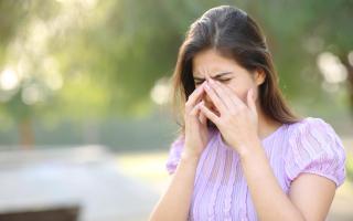 Grass pollen levels peak in May and June and weed pollen counts remain high over the summer