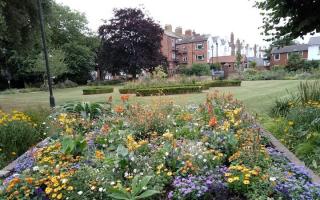 Summer display at Manor Gardens by Jan Roberts